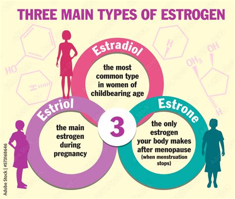 cristina mutchler|Estradiol and Estrogen: Why Hormone Levels Matter .